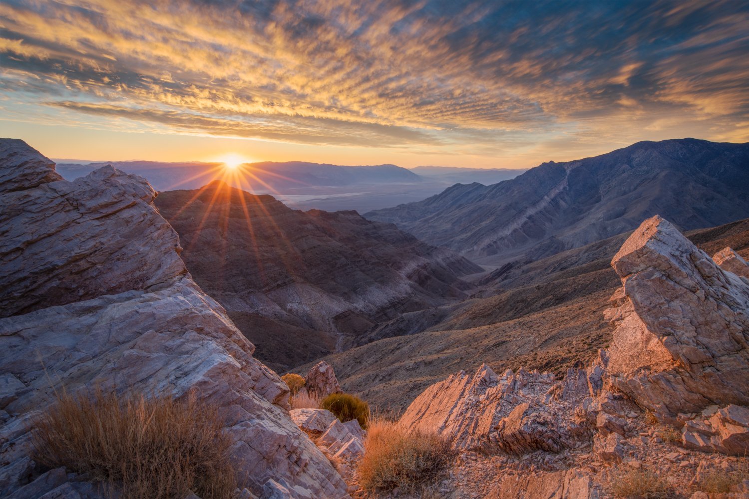 Good morning sunshine-1500.jpg