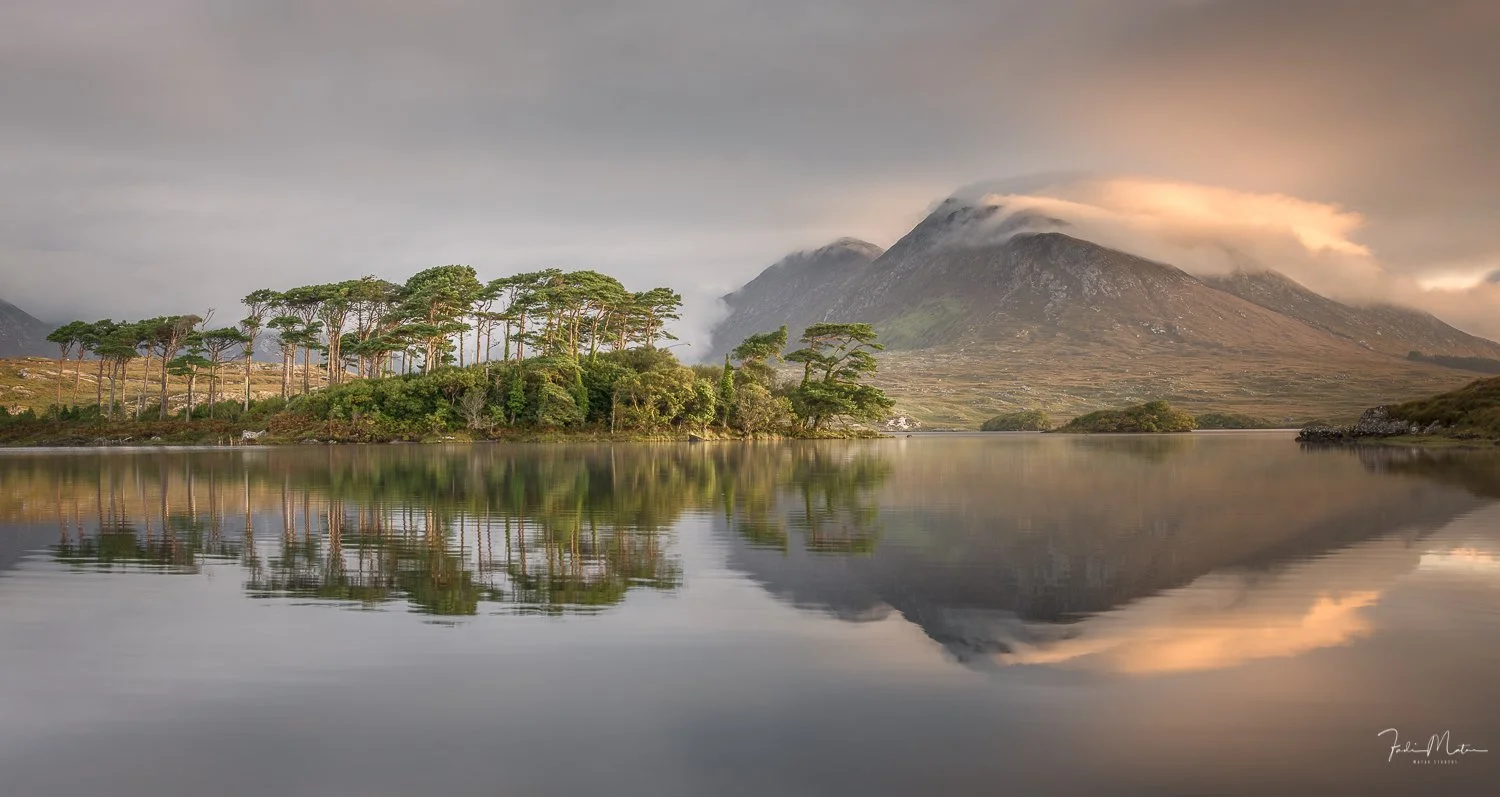 Scenic landscape featuring a calm lake, a cluster of trees with sparse branches, and large mountains with clouds hovering over the peaks, reflected in the water.