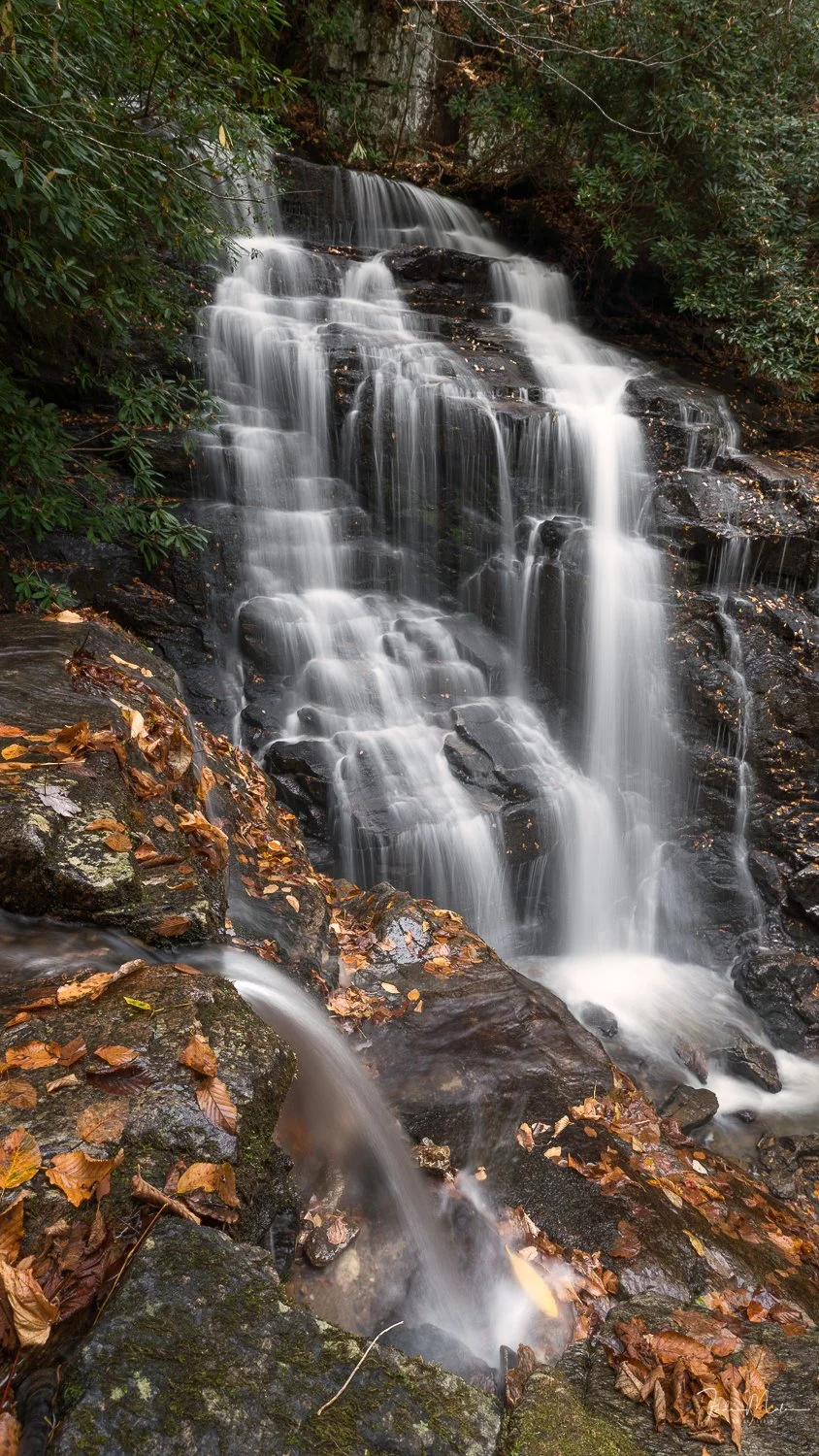 Succo Waterfall, in North Carolina with water flowing over rocks in a forest surrounded by green leaves and fallen autumn leaves.