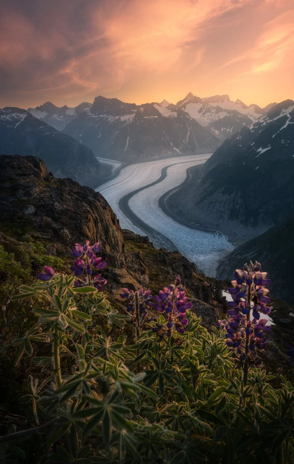 On the cliff's edge1500.jpg