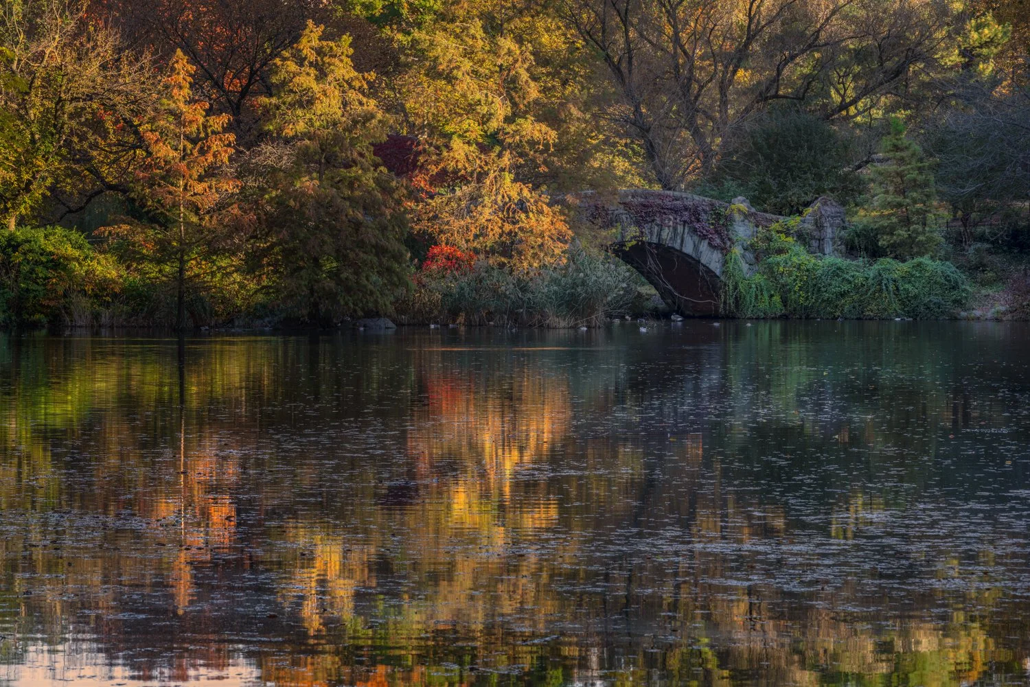 Autumn scene of a lake surrounded by trees with fall foliage, an old stone bridge, and reflections on the water.