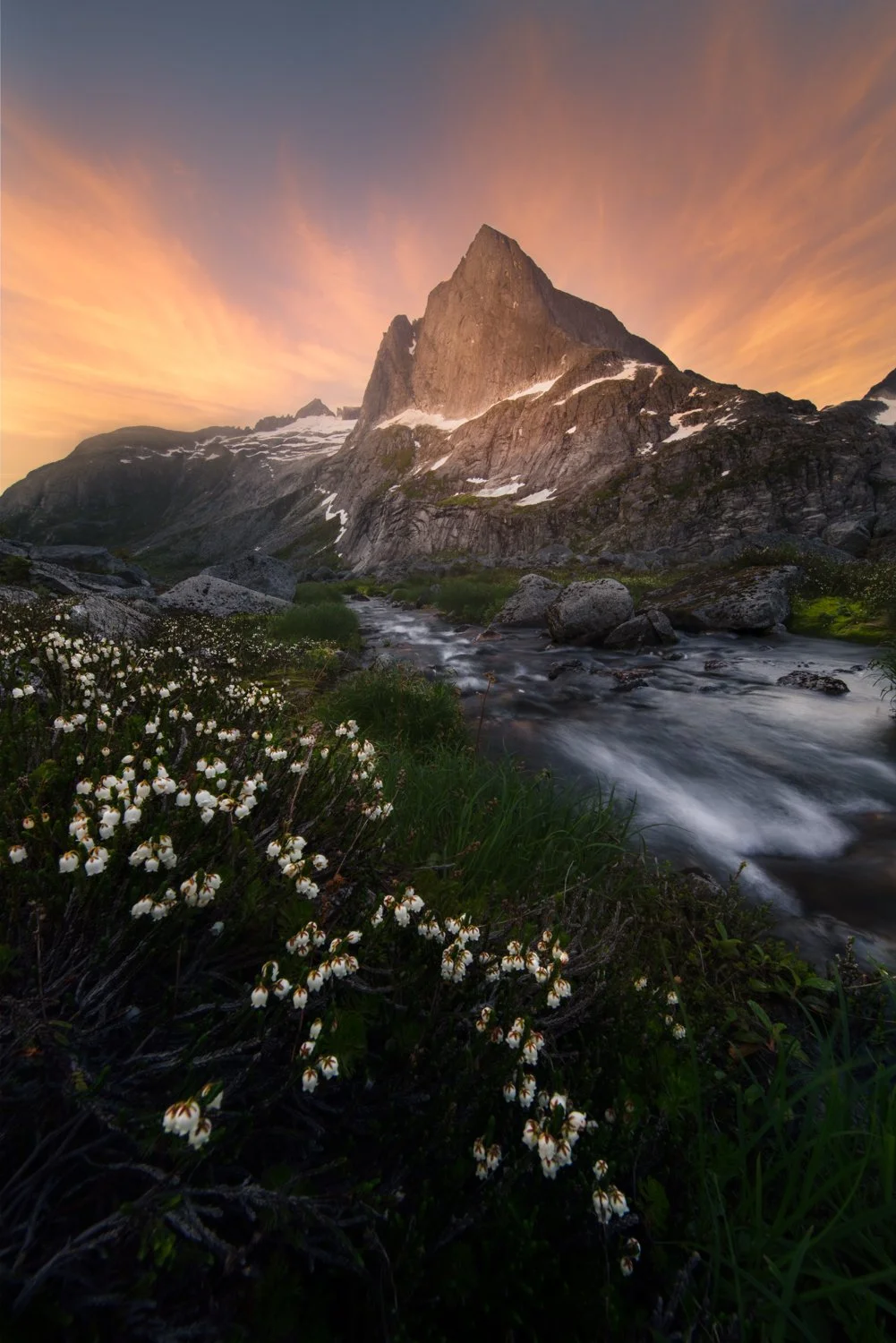 Lit by the fading sun1500.jpg