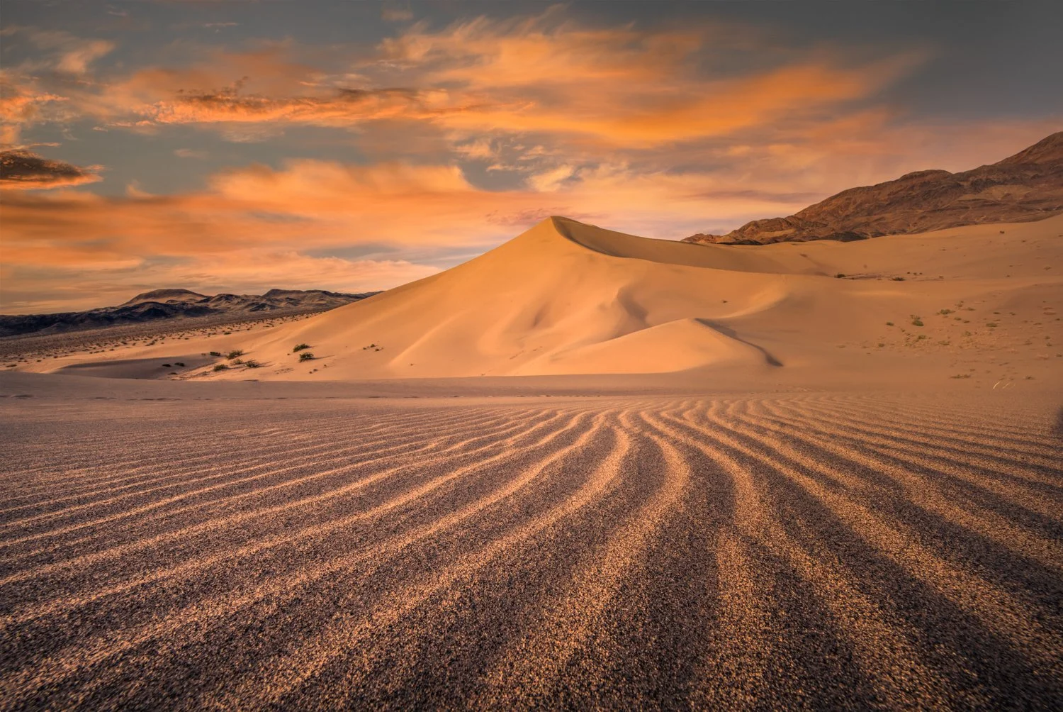 Lines in the sand-1500.jpg