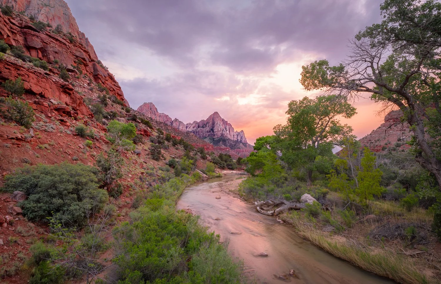 A winding river flowing through a desert canyon with red rock cliffs and green trees under a pastel purple and pink sunset sky.
