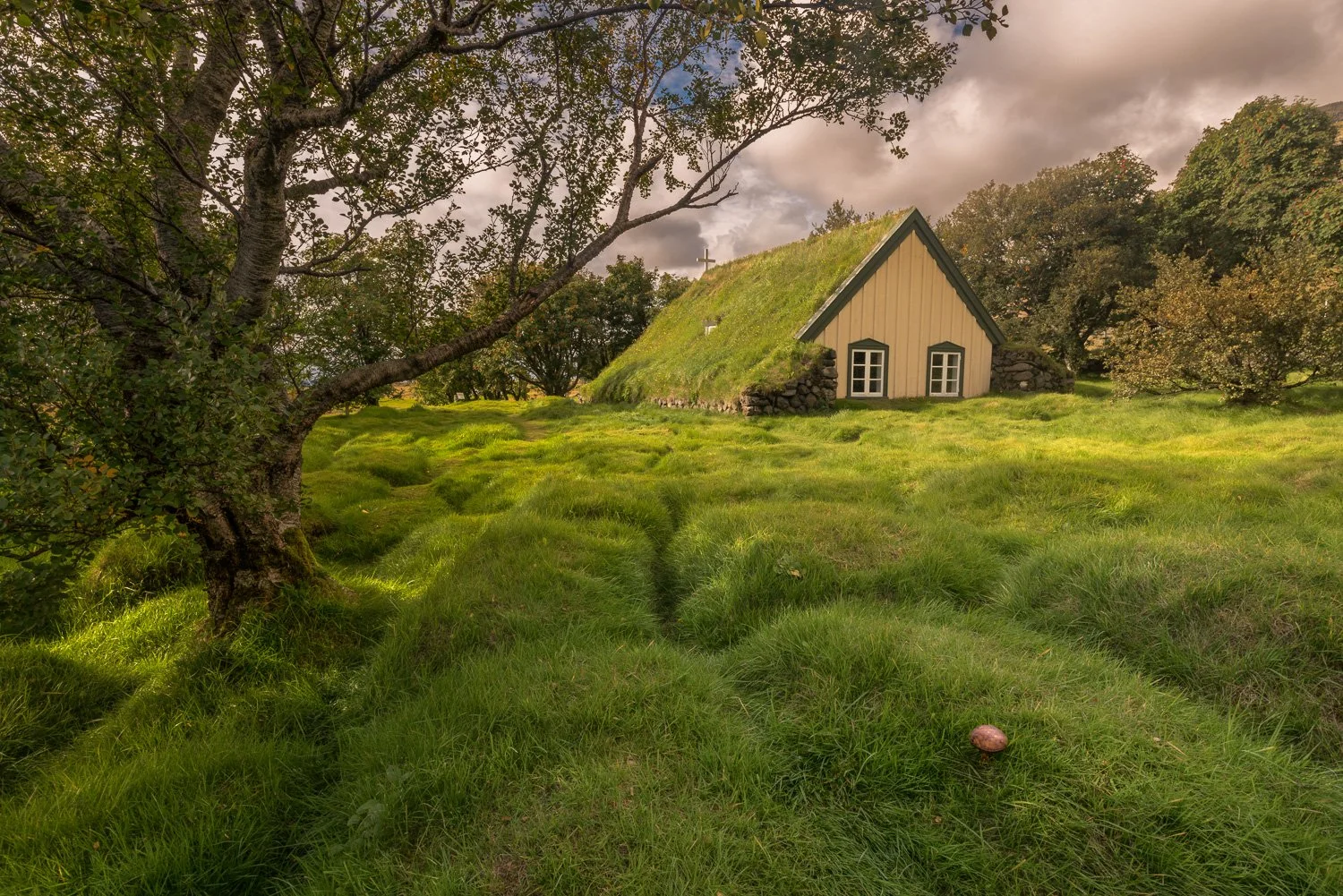 A small church with a green moss-covered roof, situated in a lush grassy field surrounded by trees, under a cloudy sky.  This is in Iceland and the grassy mounds are actual graves around the church
