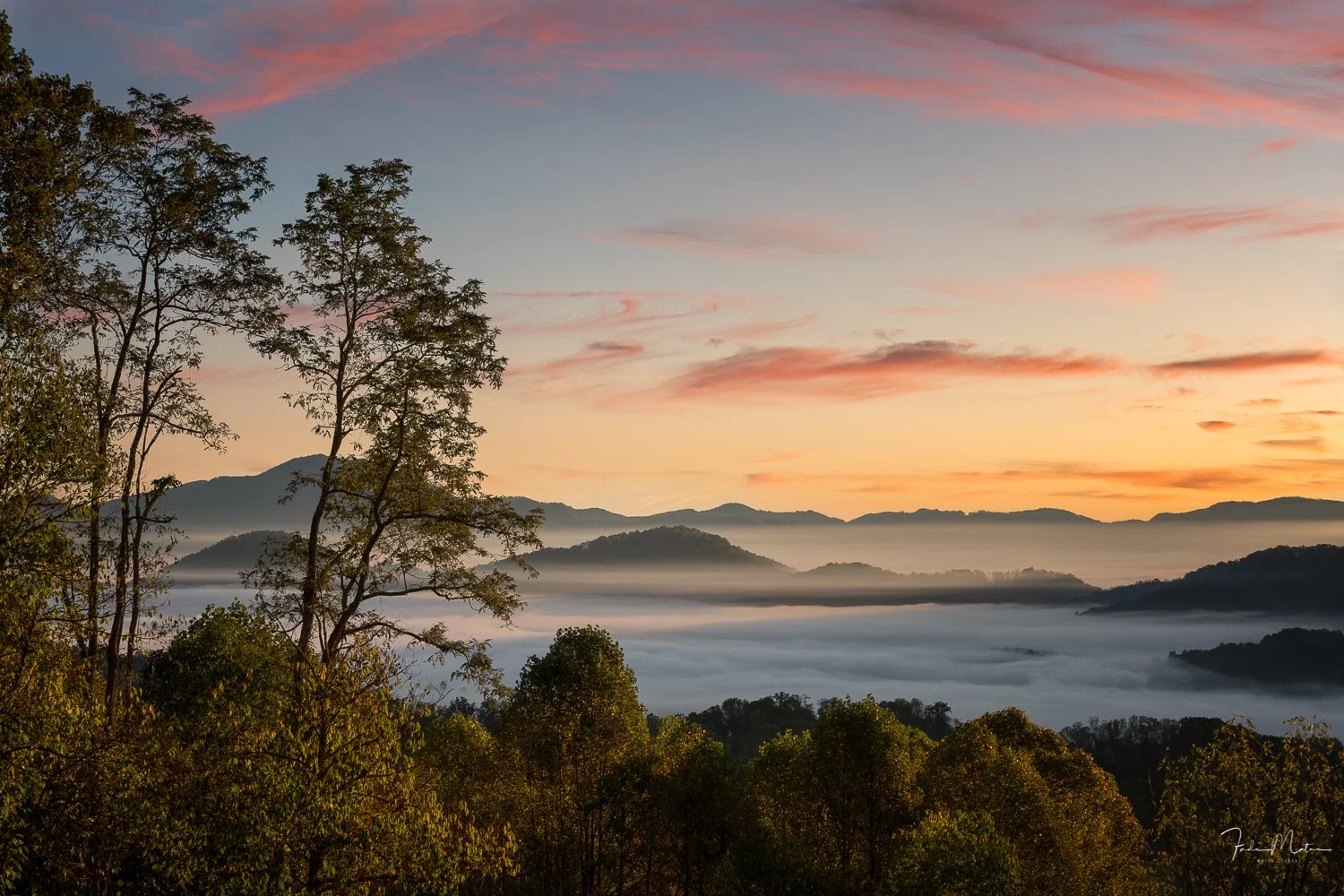 A scenic landscape of rolling mountains at sunrise with layers of mist over the valleys, a partly cloudy sky with pink and blue hues, and trees in the foreground.  This is one of the majestic mornings I frequently witness from my front porch in Wayne