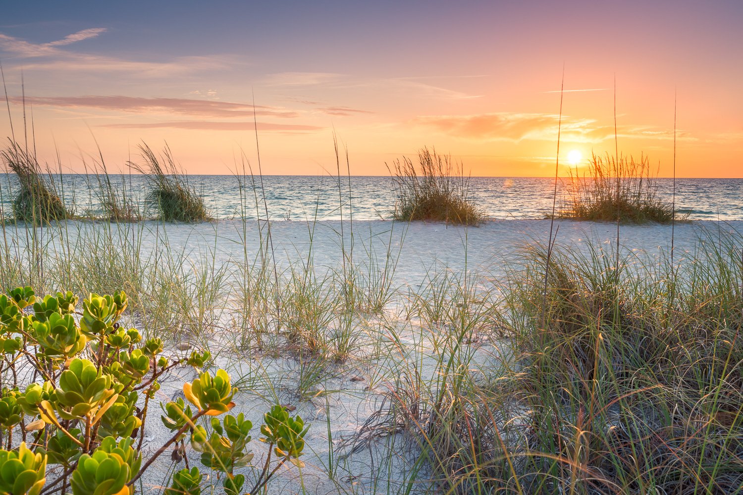 Sunset over the ocean with sandy beach and tall grass in the foreground.
