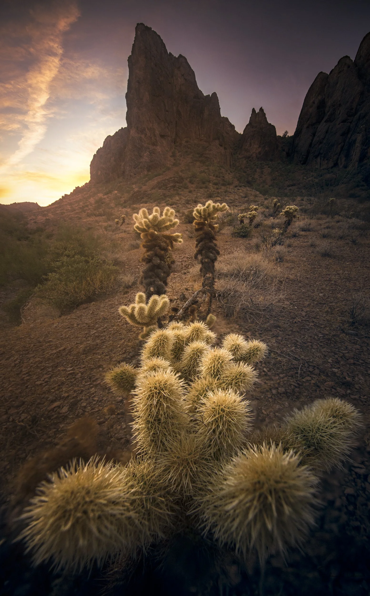 Desert landscape at sunset with large rocky mountain and cacti in the foreground.