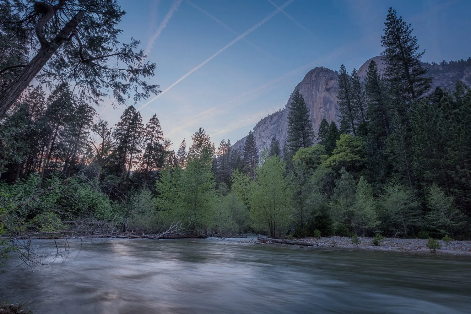 A river flowing through a forest with tall trees and mountains in the background during daytime.