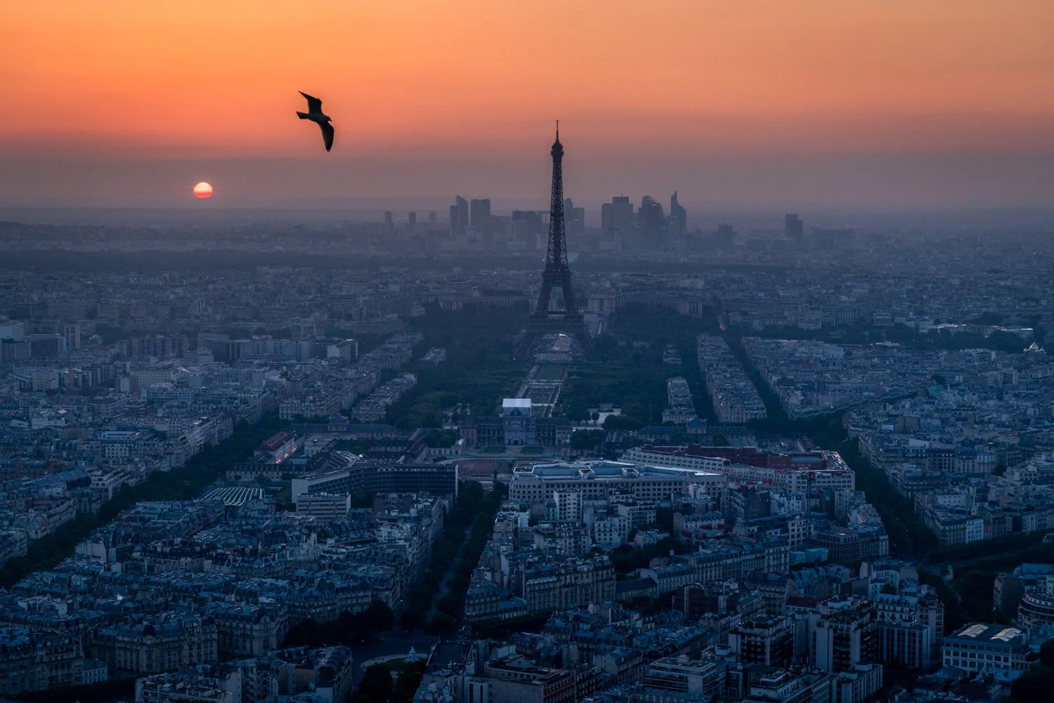 Sunset over Paris with the Eiffel Tower and a bird flying in the sky.