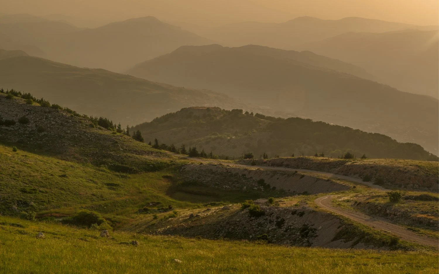 A scenic view of a winding dirt road through rolling green hills and layered distant mountains in the background, with warm, hazy lighting.  This scene is from the Cedar Forests in Lebanon