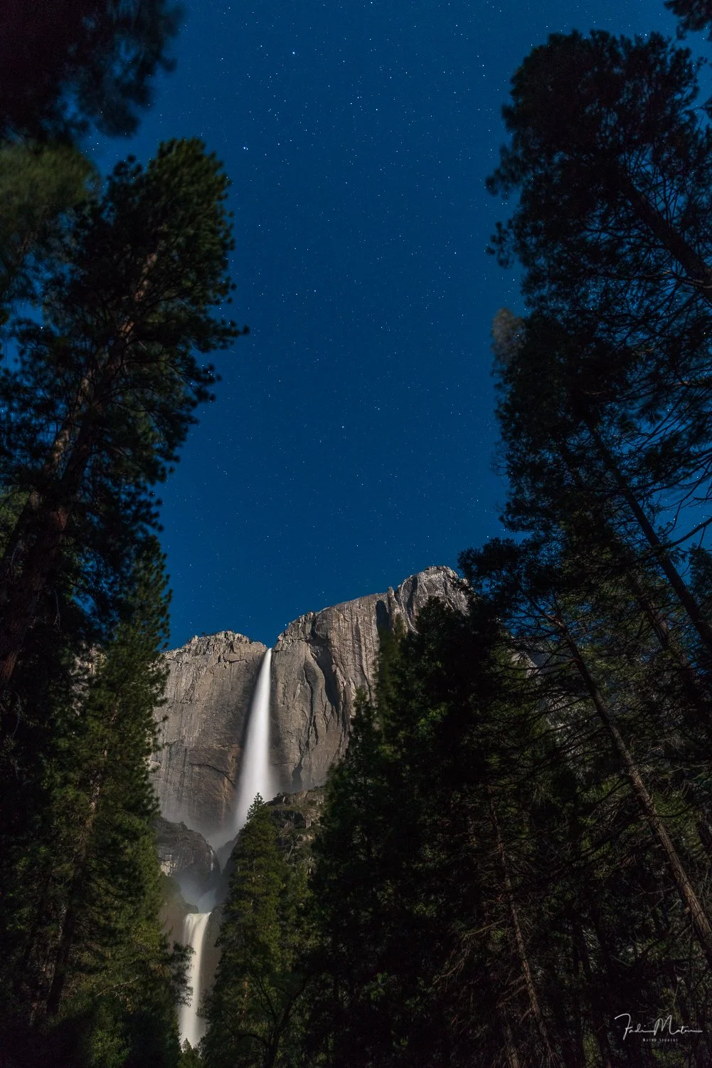 Nighttime view of Yosemite Falls with stars visible in the sky, surrounded by tall trees.