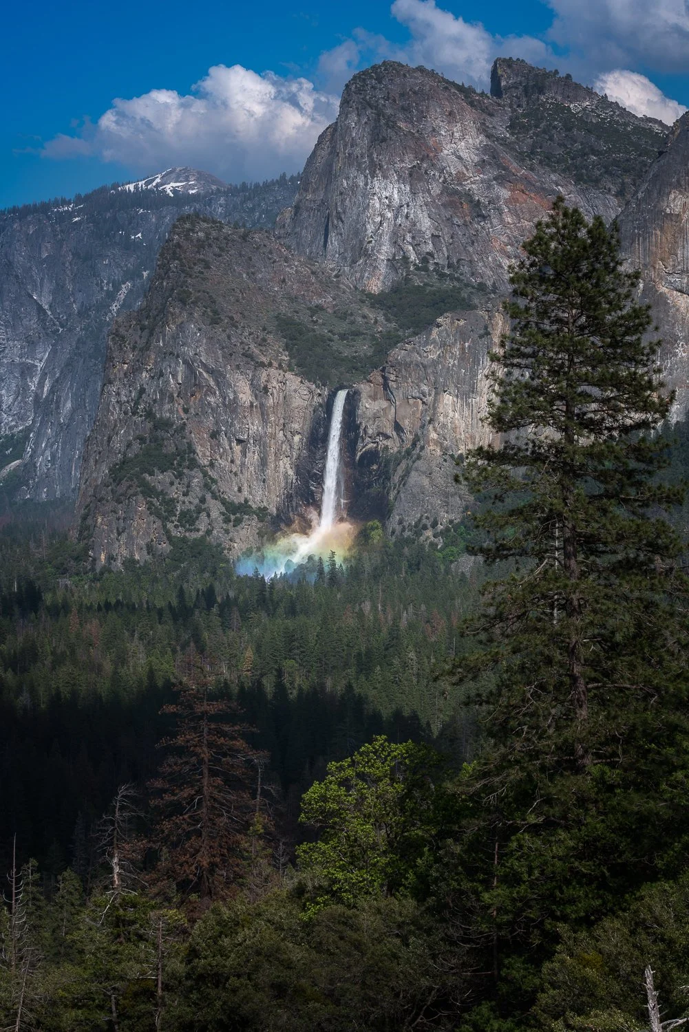 A scenic view of Yosemite National Park with a waterfall cascading down a rocky cliff, surrounded by dense pine trees and a partly cloudy sky.  The mist at the base of the waterfall creates rainbow colors as the afternoon sun hit it