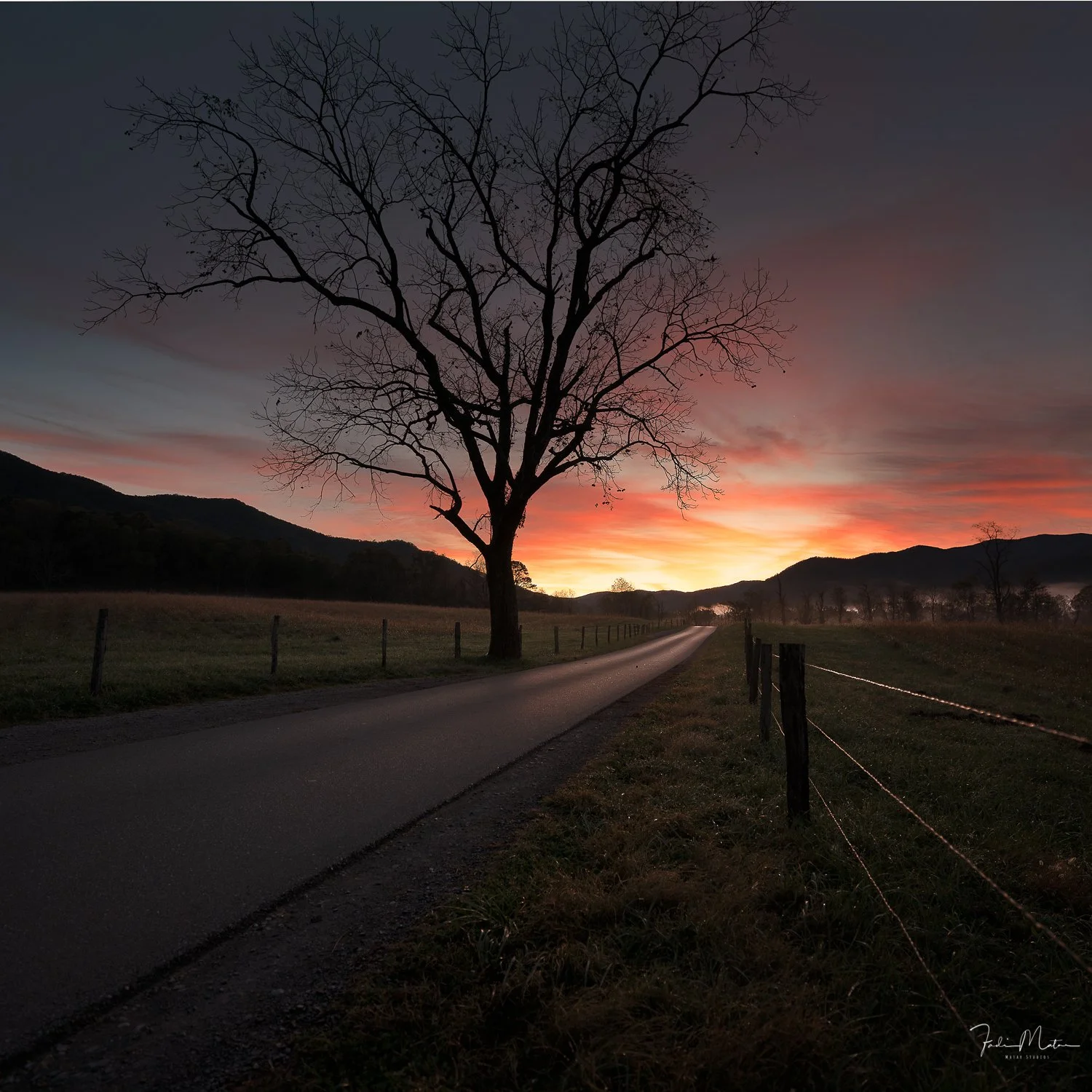 A rural road at sunrise in Cades Cove, Tenessee with a large, leafless tree in the foreground, mountains in the background, and a colorful sky with shades of pink, orange, and purple.