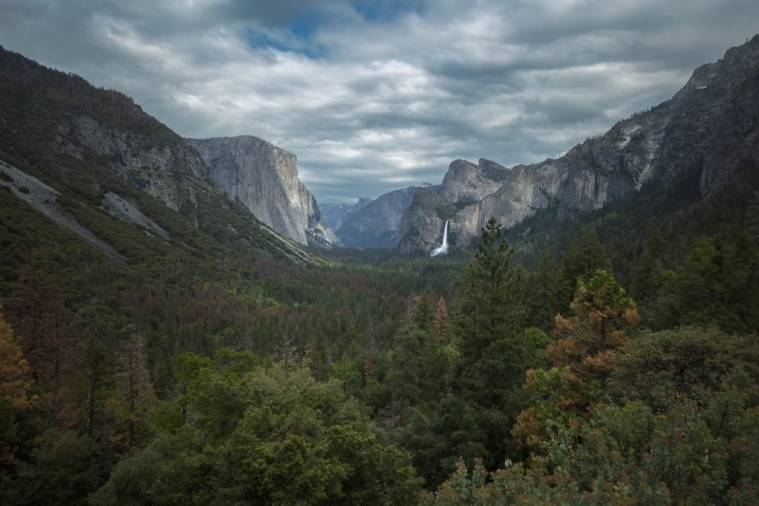 A view of a forest with a waterfall in the distance, surrounded by mountainous terrain under a cloudy sky.  This is Yosemite