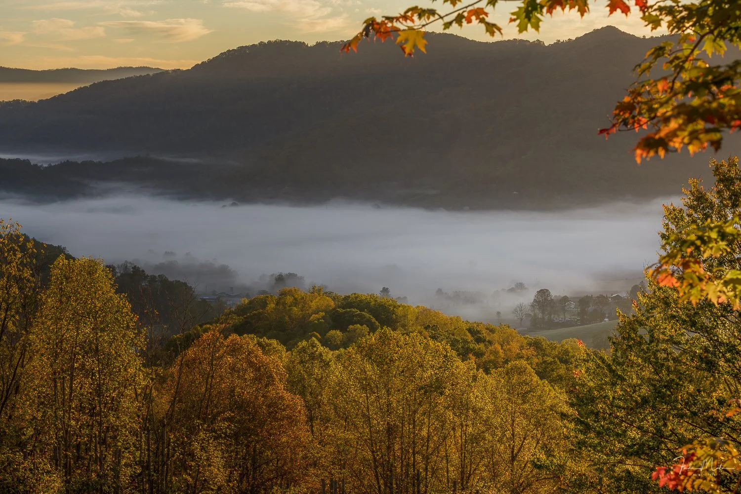 A scenic view of a mountain landscape during fall, with colorful leaves in the foreground, a layer of fog in the middle, and distant mountains under a partly cloudy sky.