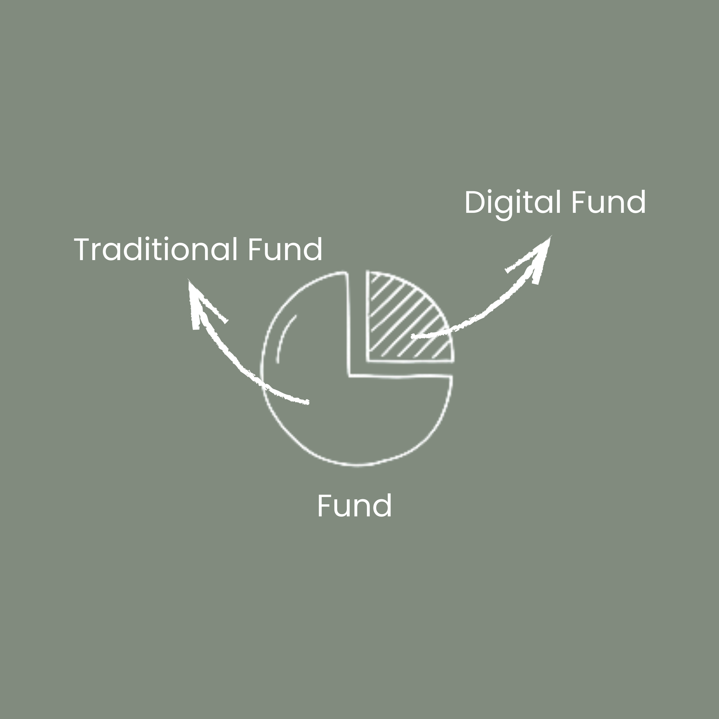 A pie chart illustrating the shift from traditional funds to digital funds, with arrows showing the transition between the two.