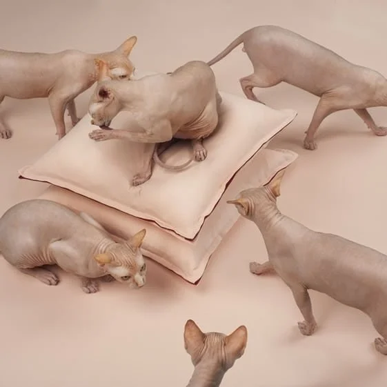 We Heart, February 2014