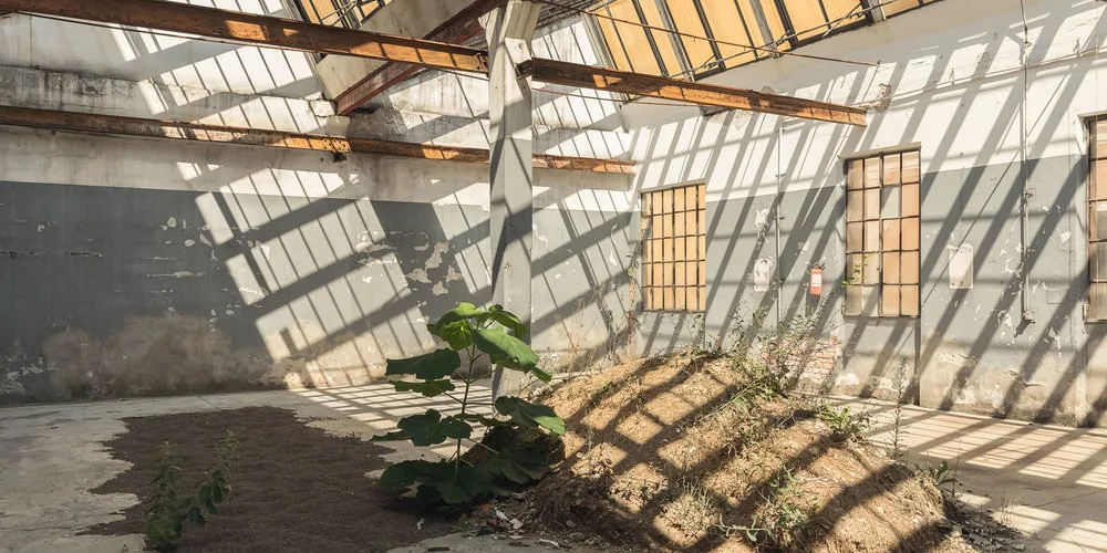 Immerse Yourself in Design (Oryx Magazine)