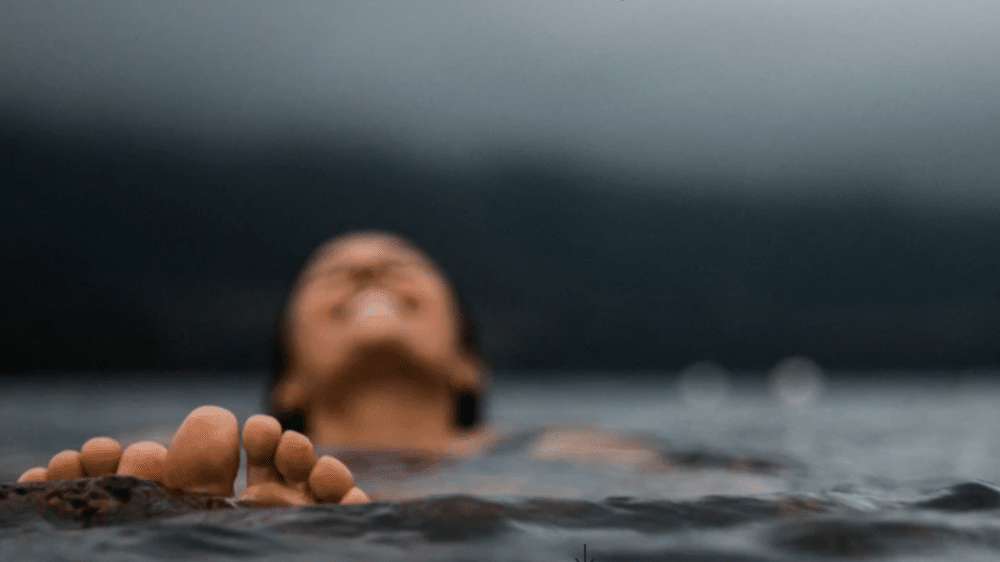 Into the Woods (Land & Water)