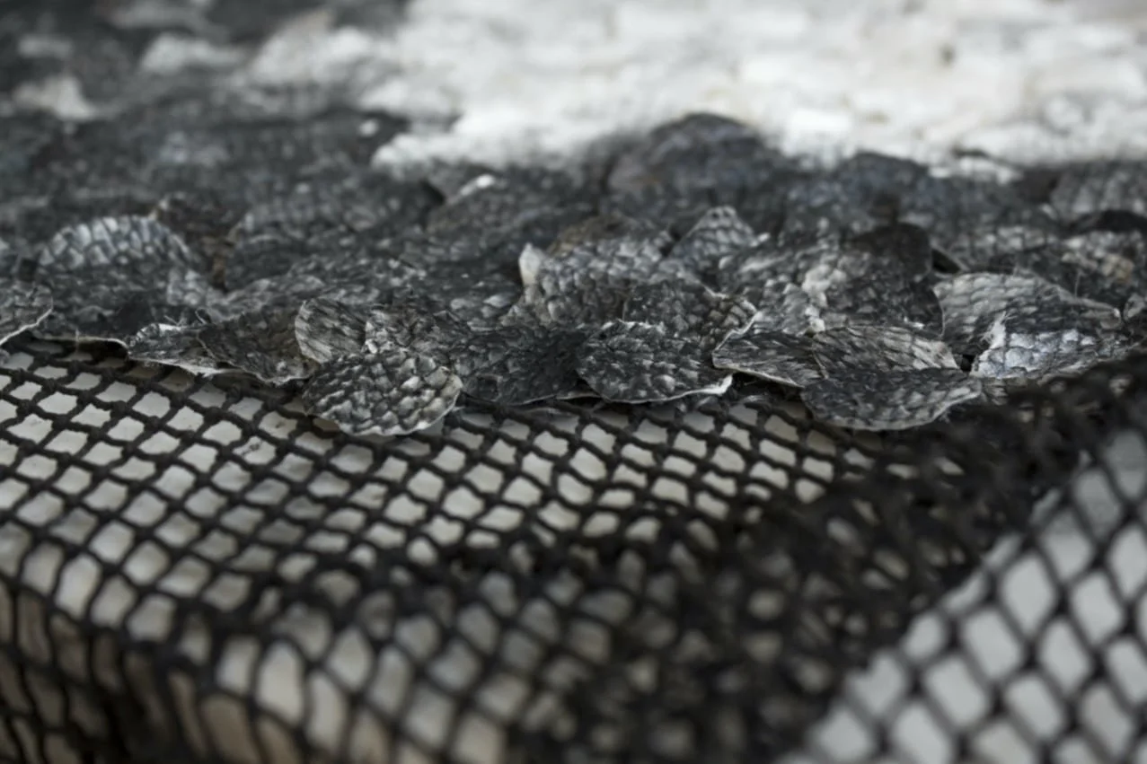 Studio Nienke Hoogvliet Turns Seaweed and Fish Skin into Rugs, Fabrics + Leather (Circular by Design, Design Milk)