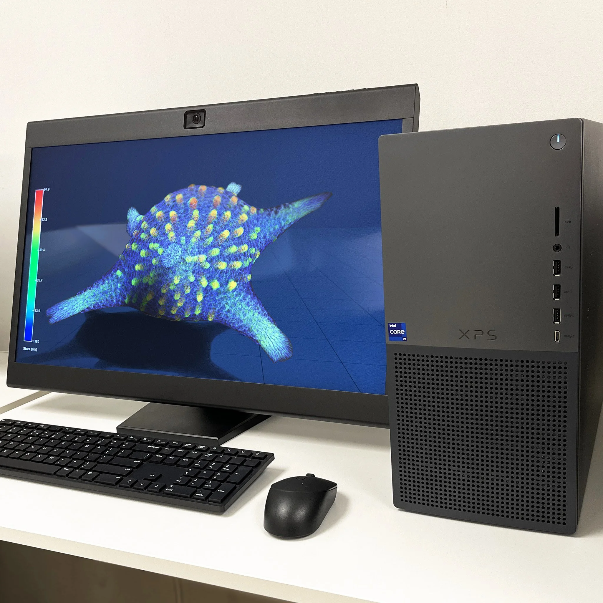 Desktop computer with a monitor displaying a colorful 3D model of a starfish, a keyboard, and a mouse on a white desk.