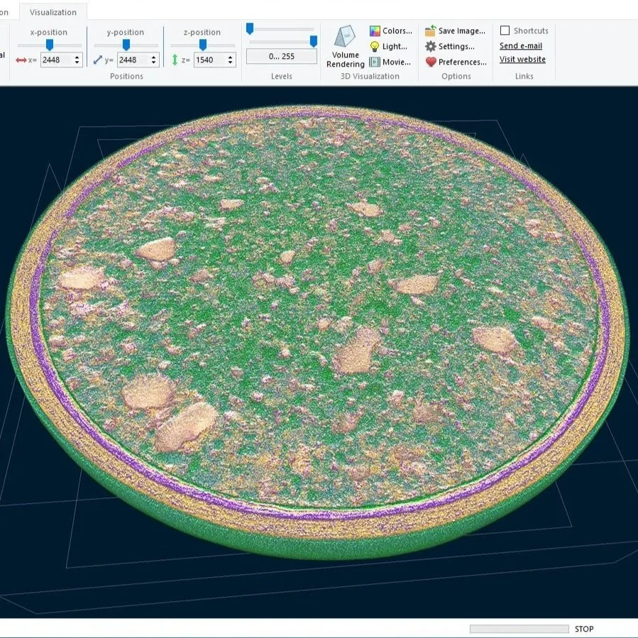 3D visualization of a petri dish containing a green agar plate with numerous small, beige bacterial colonies and larger colonies scattered throughout.