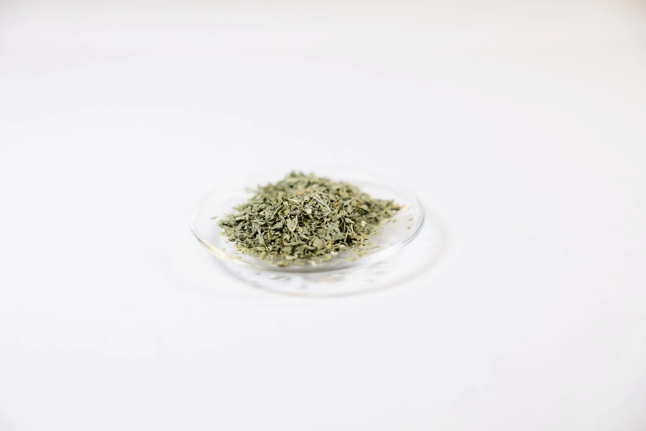 Alfalfa