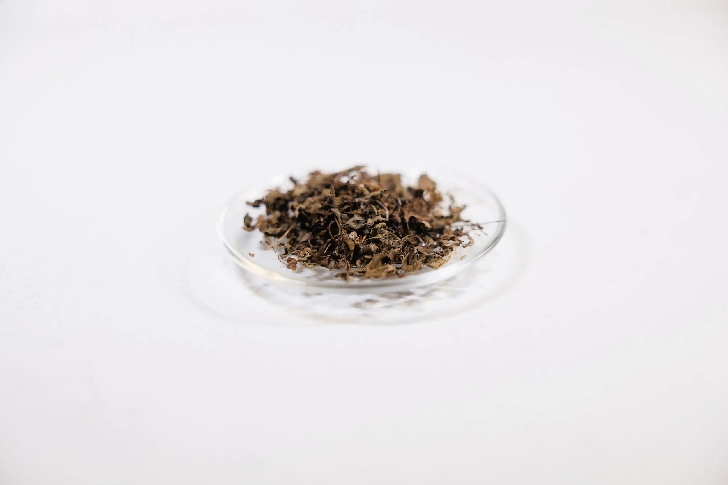 Krishna Holy Basil