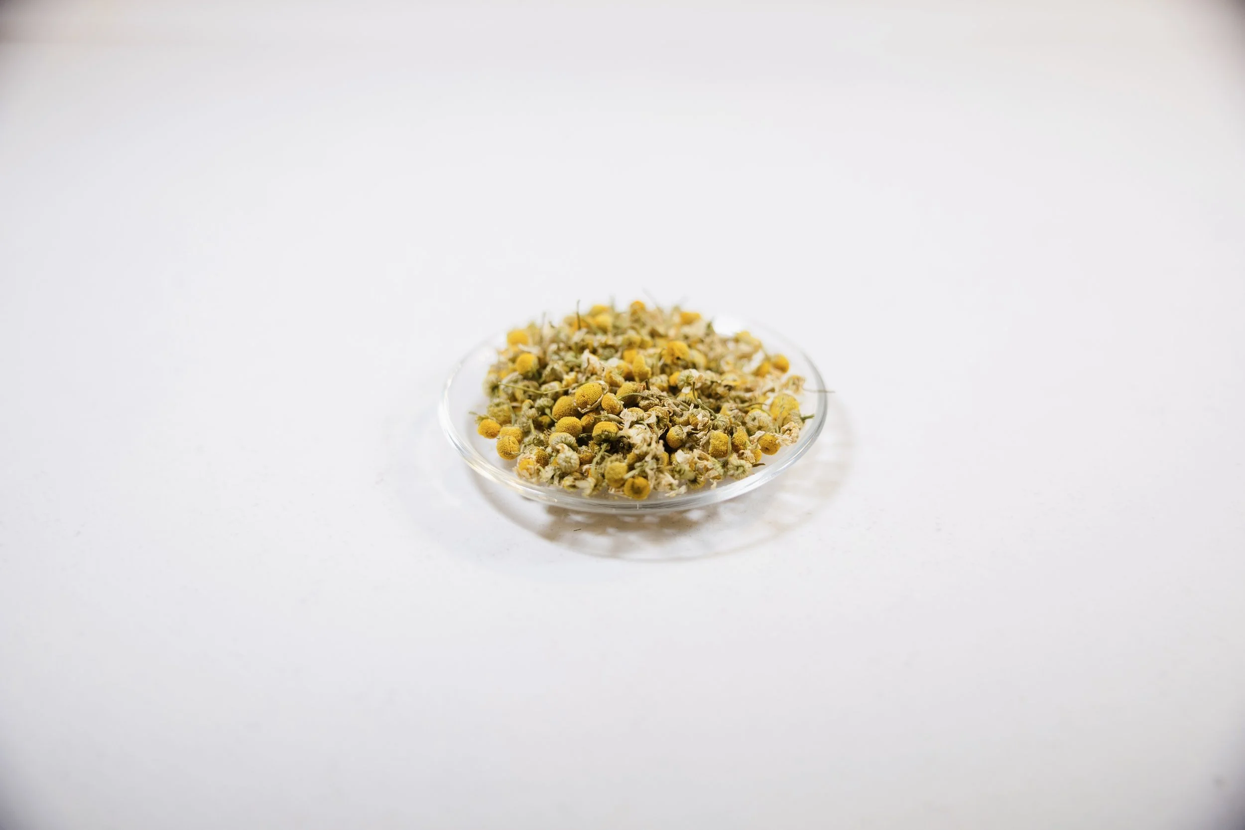 Chamomile Flower
