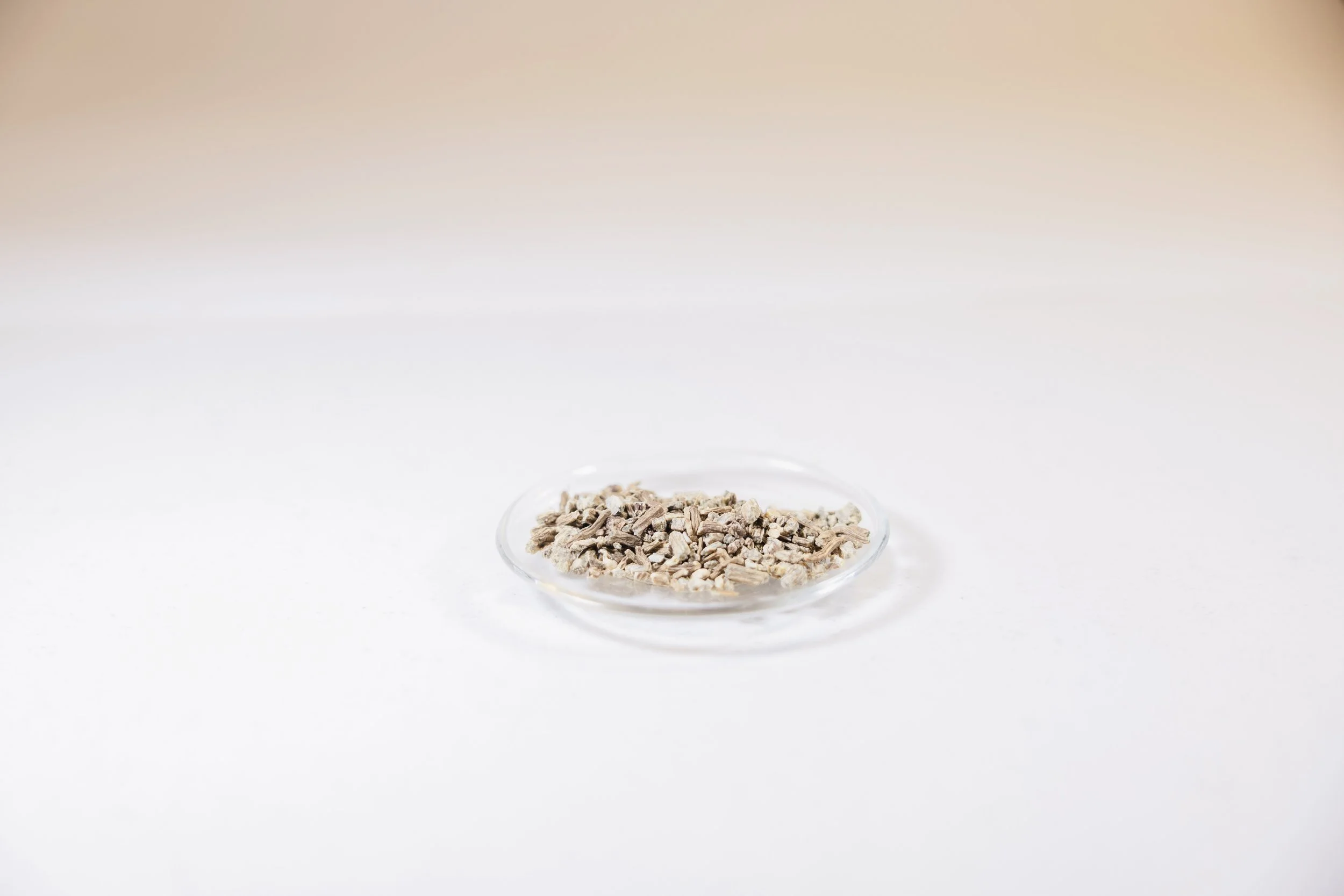 Echinacea Root