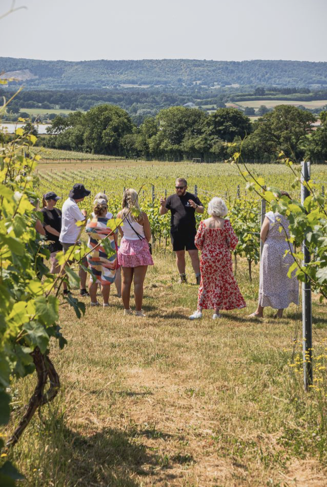 Screenshot 2026-03-31 at 15.34.01.png