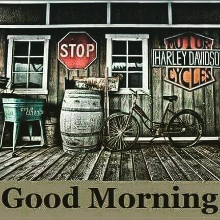 #vintageharleydavidson  #vintagemotorcycle #vintagemotorcycleshop