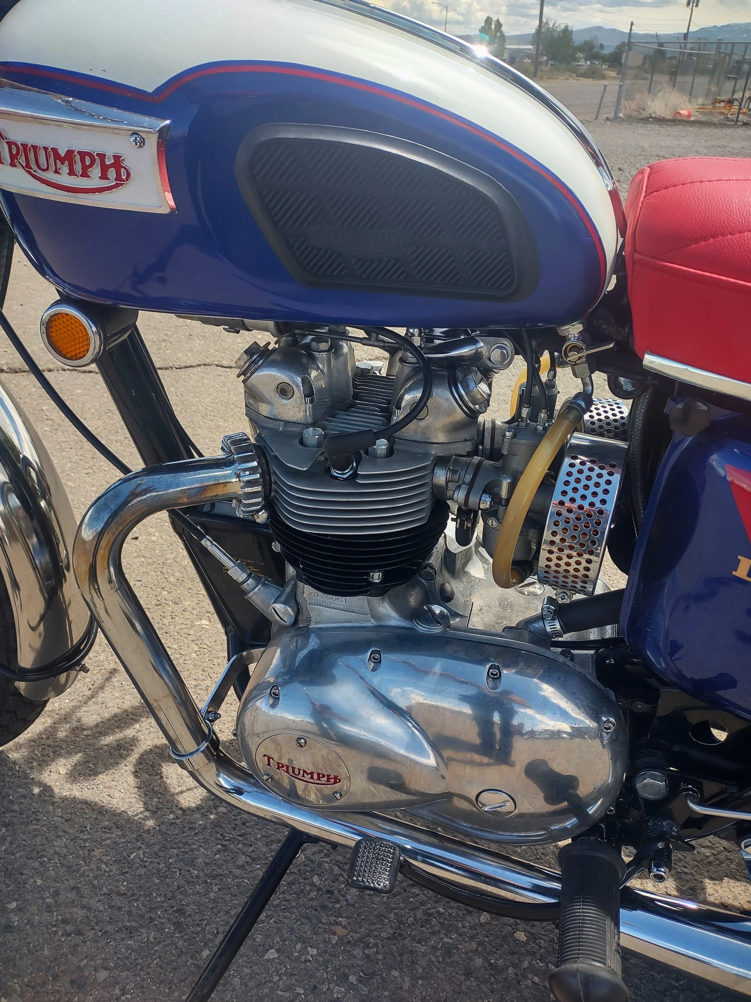 Close-up of a vintage Triumph motorcycle engine and fuel tank, with a red seat and a blue and white painted body in an outdoor setting.