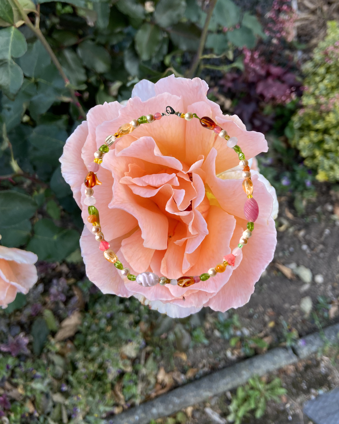 DORTA Collage Images April 2026 copy.png