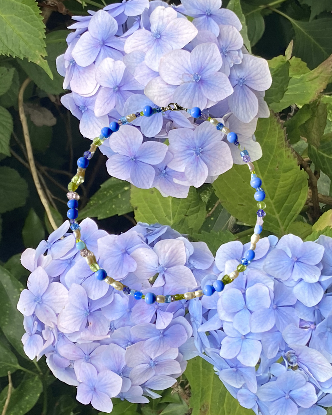 DORTA Collage Images April 2026 4.png