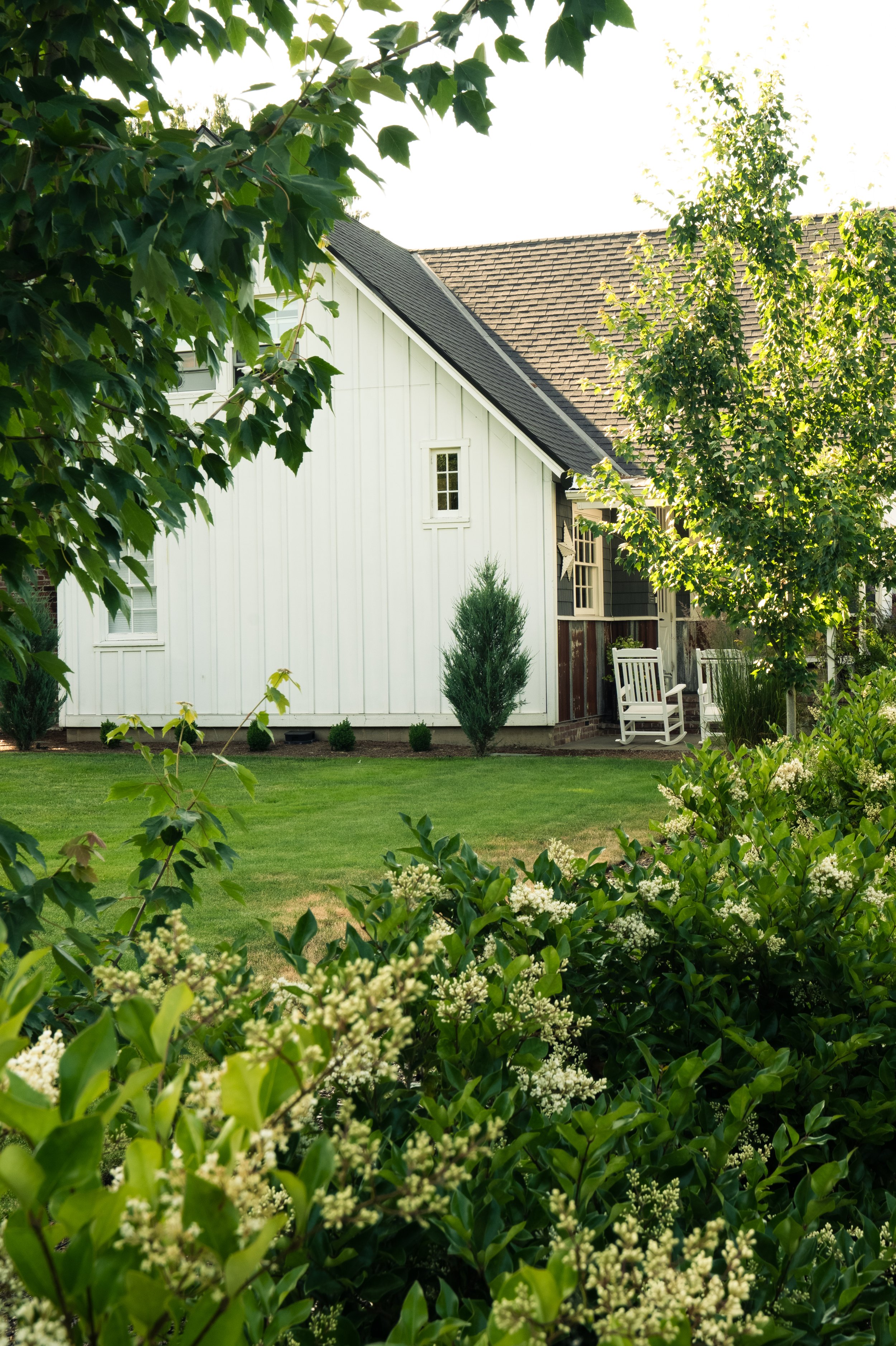 A peaceful backyard with a white house, green lawn, lush trees, and white flowering bushes.