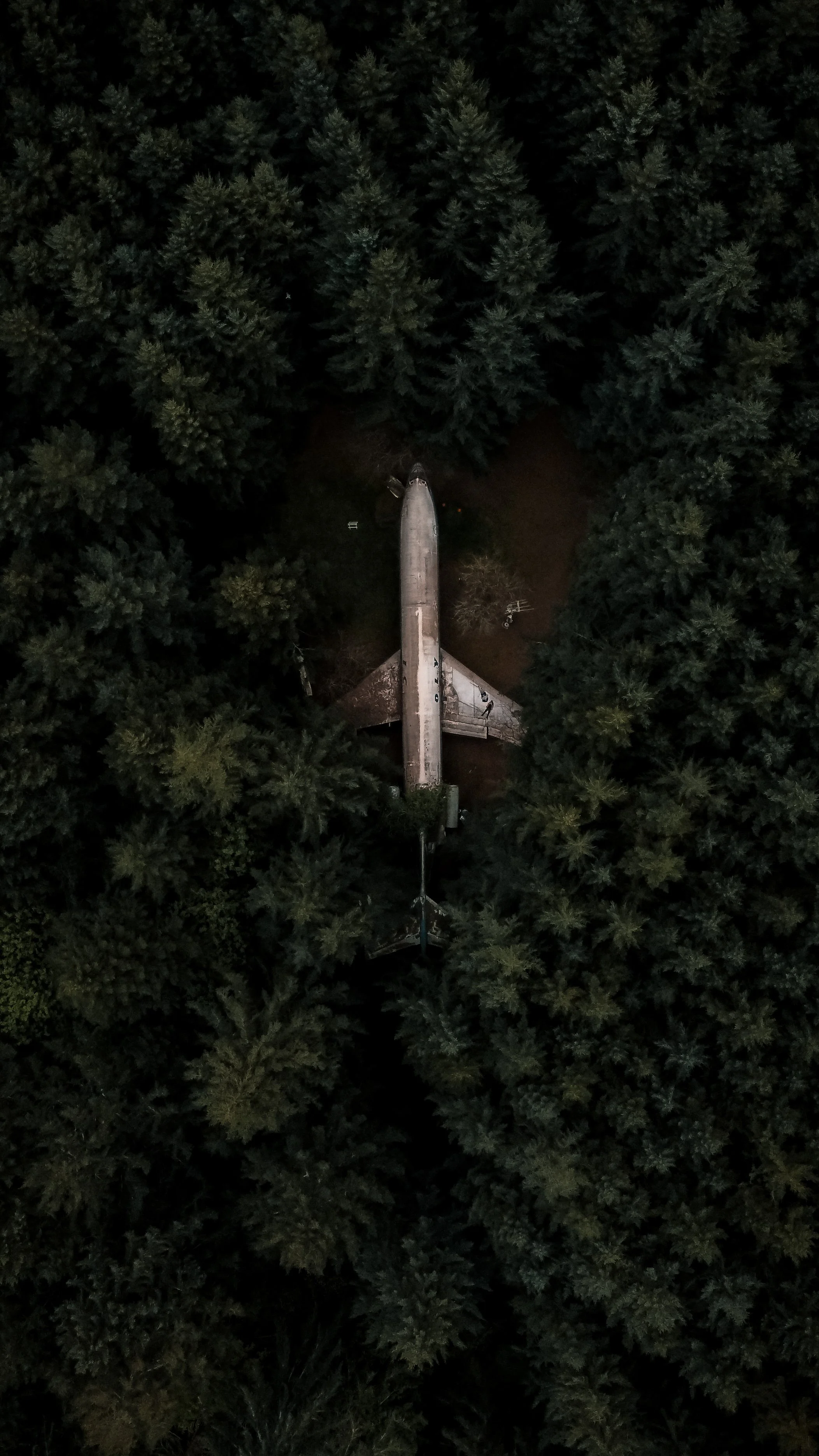 An aerial view of an abandoned airplane surrounded by dense trees in a forest.
