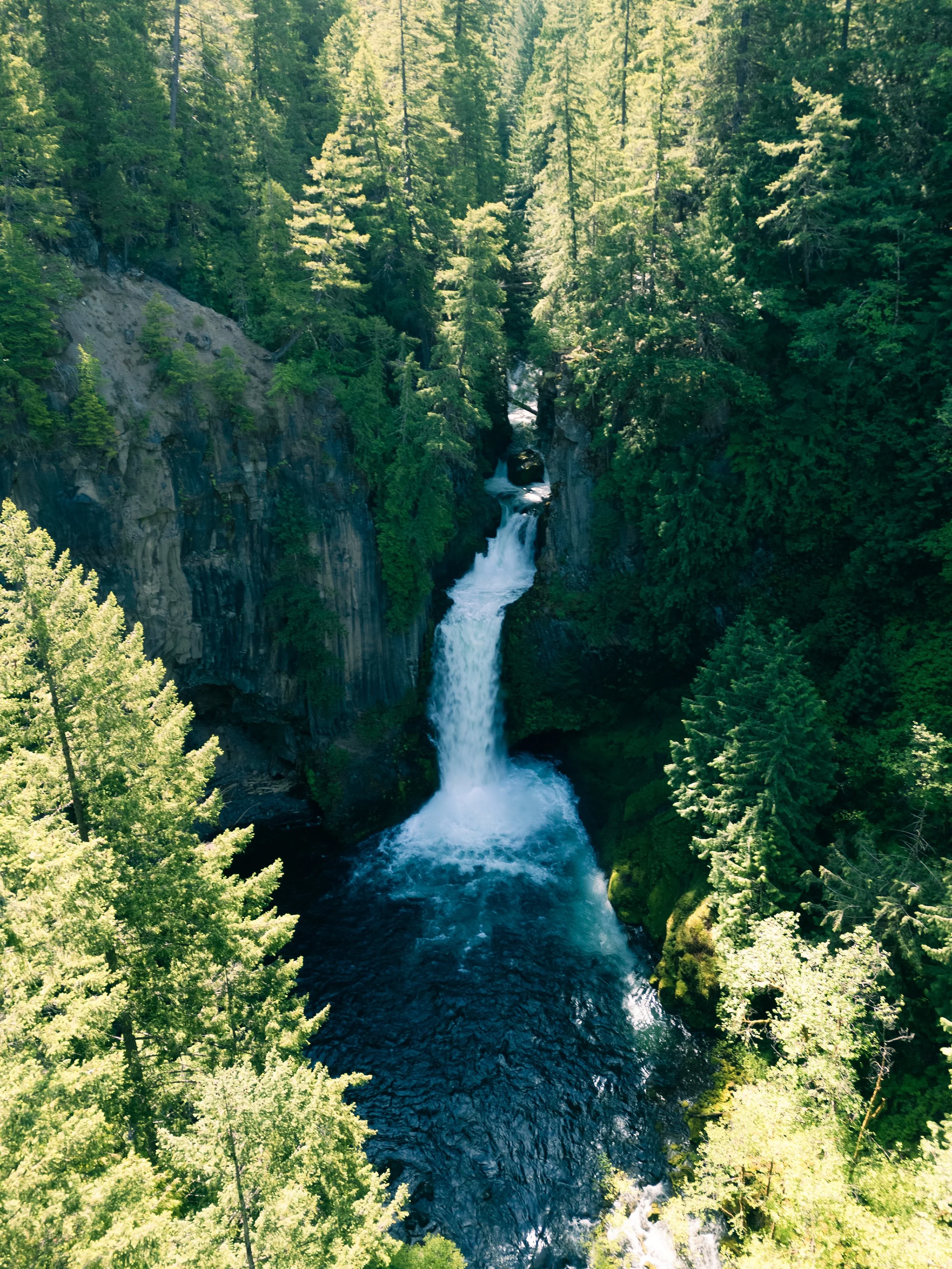 A scenic view of a waterfall flowing into a forested canyon with tall trees and rocky cliffs.