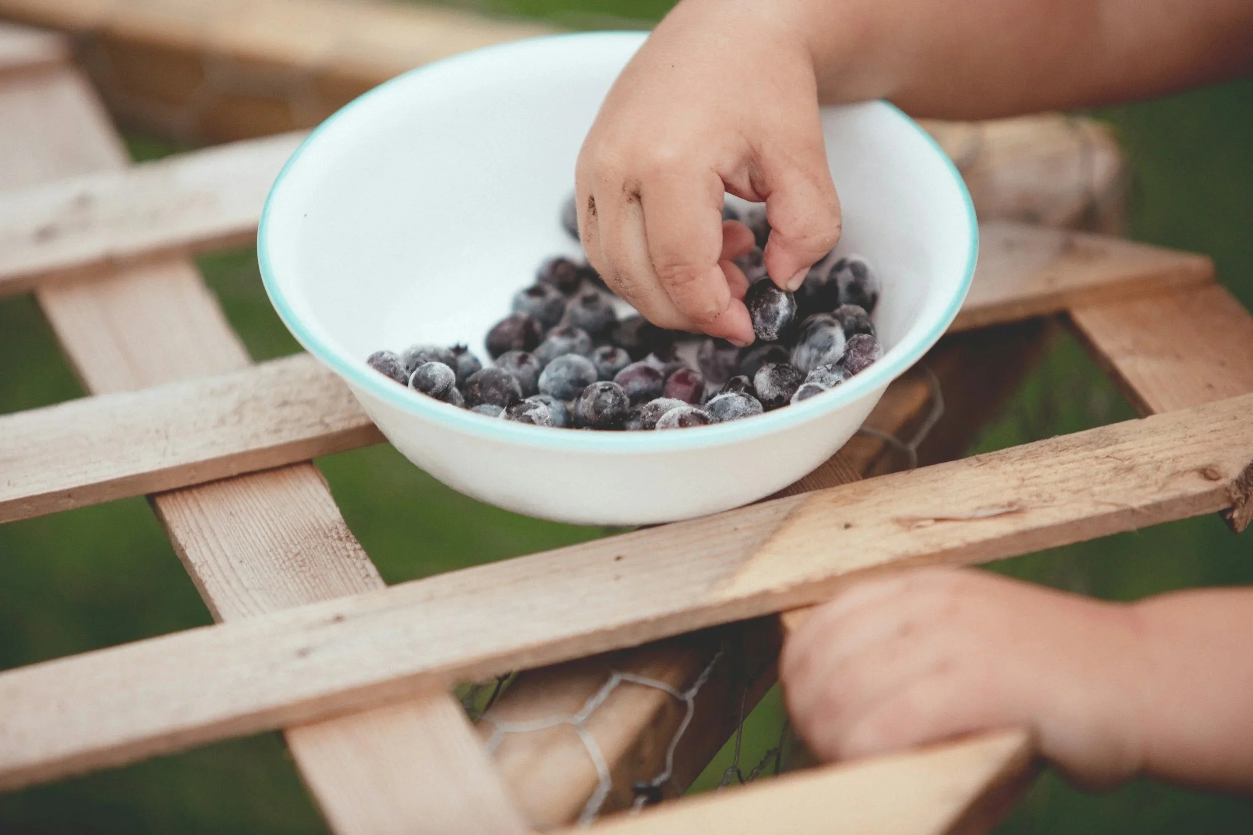 A person's hand picking blueberries from a white bowl on a wooden table outdoors.