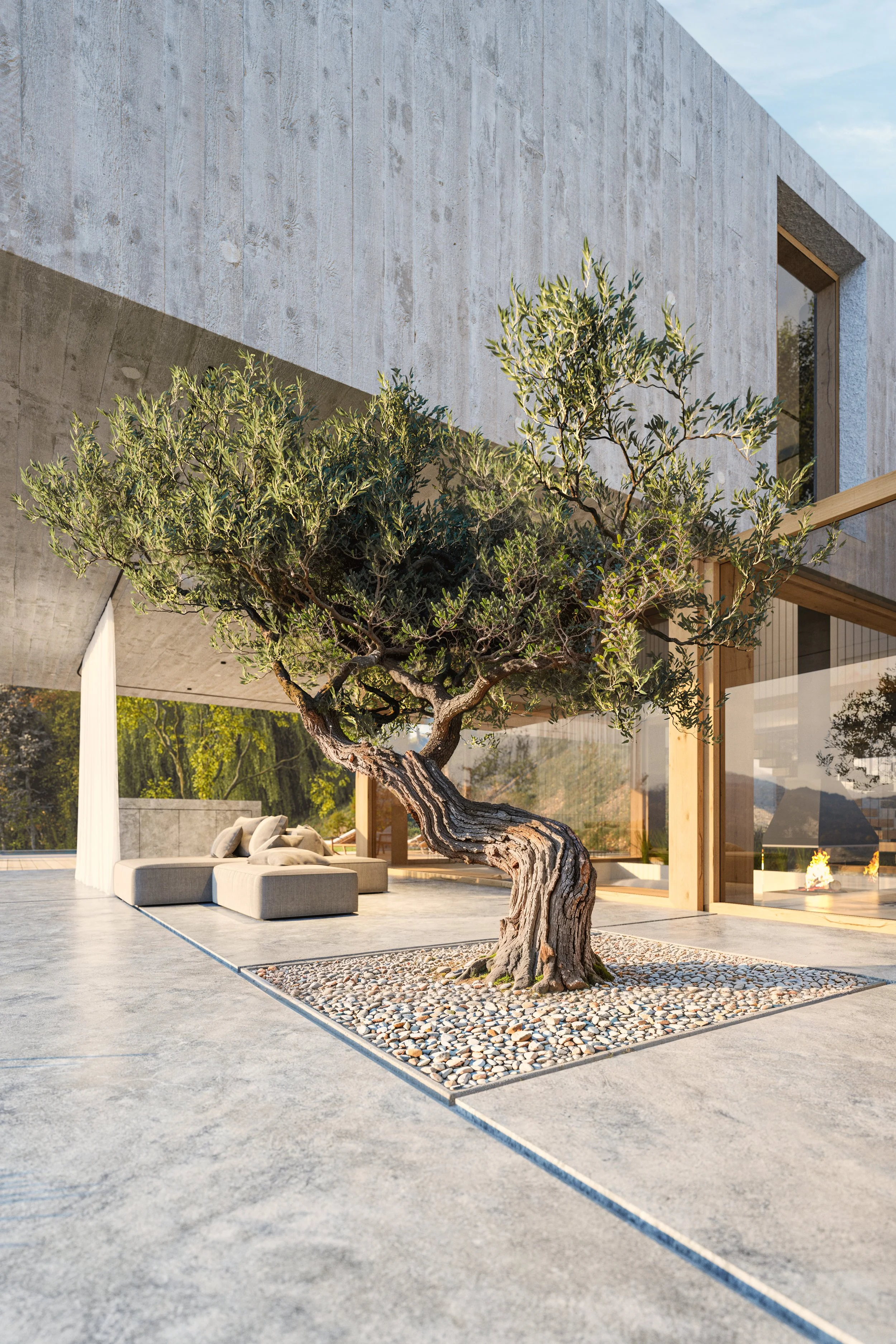 Modern house with a concrete exterior, large windows, and a backyard featuring a knotted mature tree in a gravel bed, outdoor seating, and a fire feature.