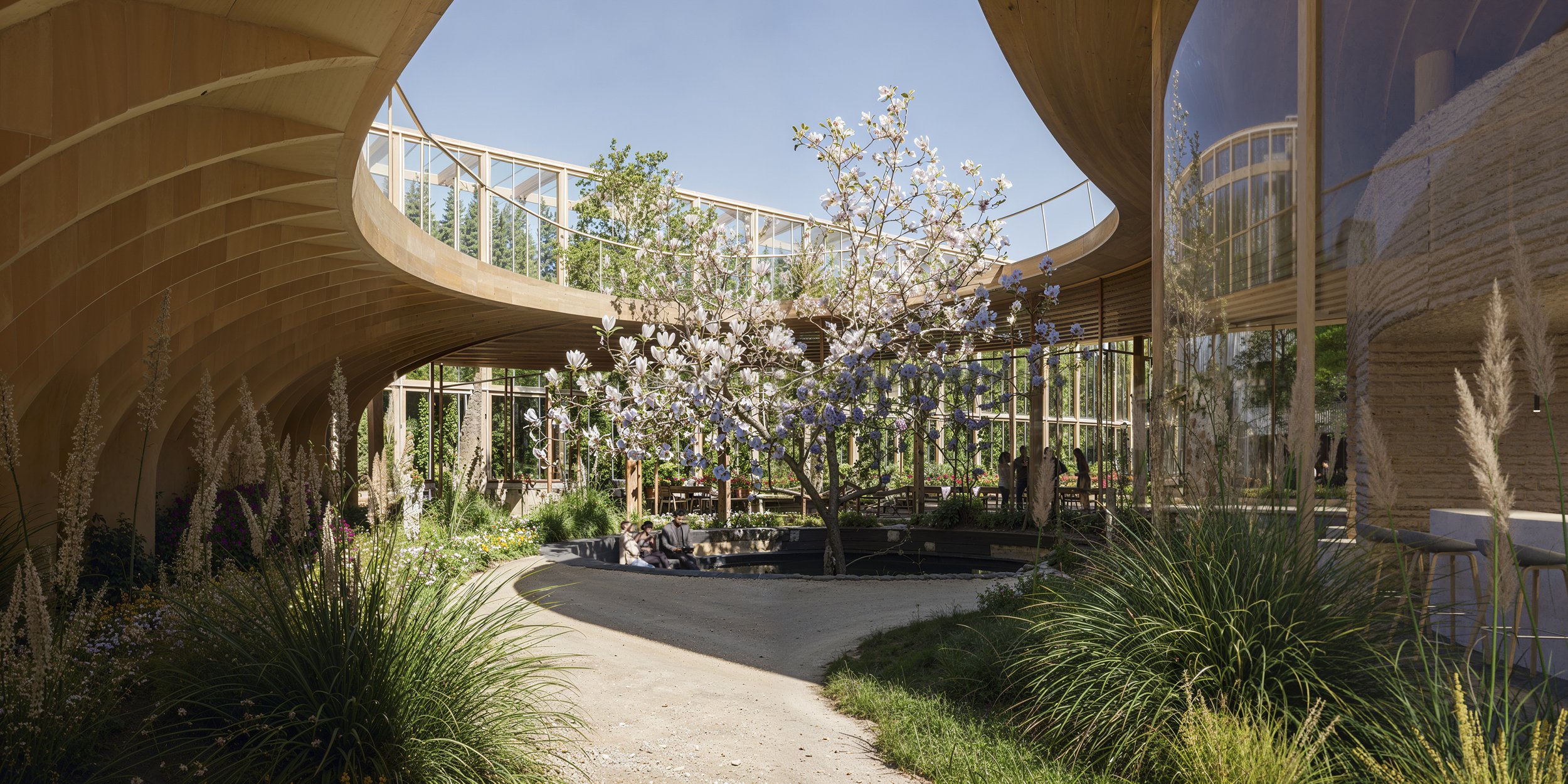 Modern architectural building with curving wooden and glass structures, a blossoming cherry tree in the center, and people sitting and walking in a landscaped area with plants and a gravel pathway.