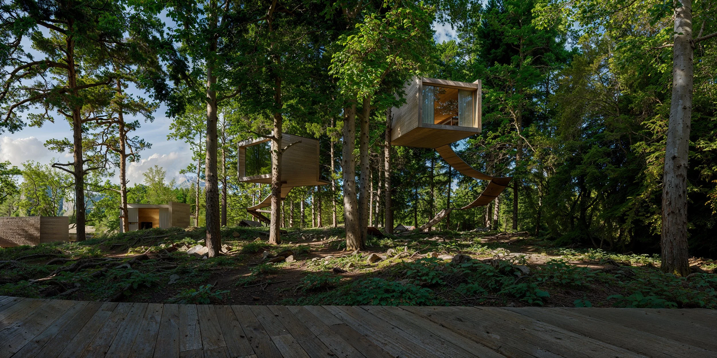 Treehouse structures built among tall trees in a forest, connected by a curved wooden ramp, with a wooden deck in the foreground.