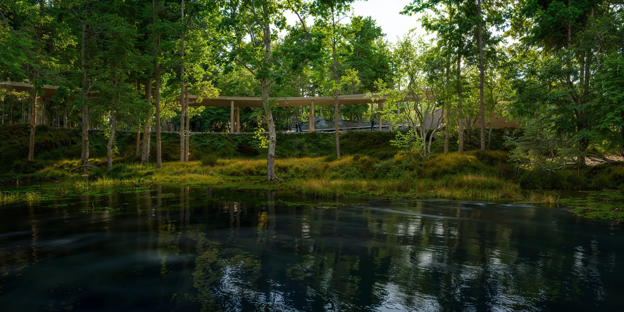 View of a forested area with a calm body of water in the foreground, and a modern structure with a curved roof supported by wooden columns among trees in the background.