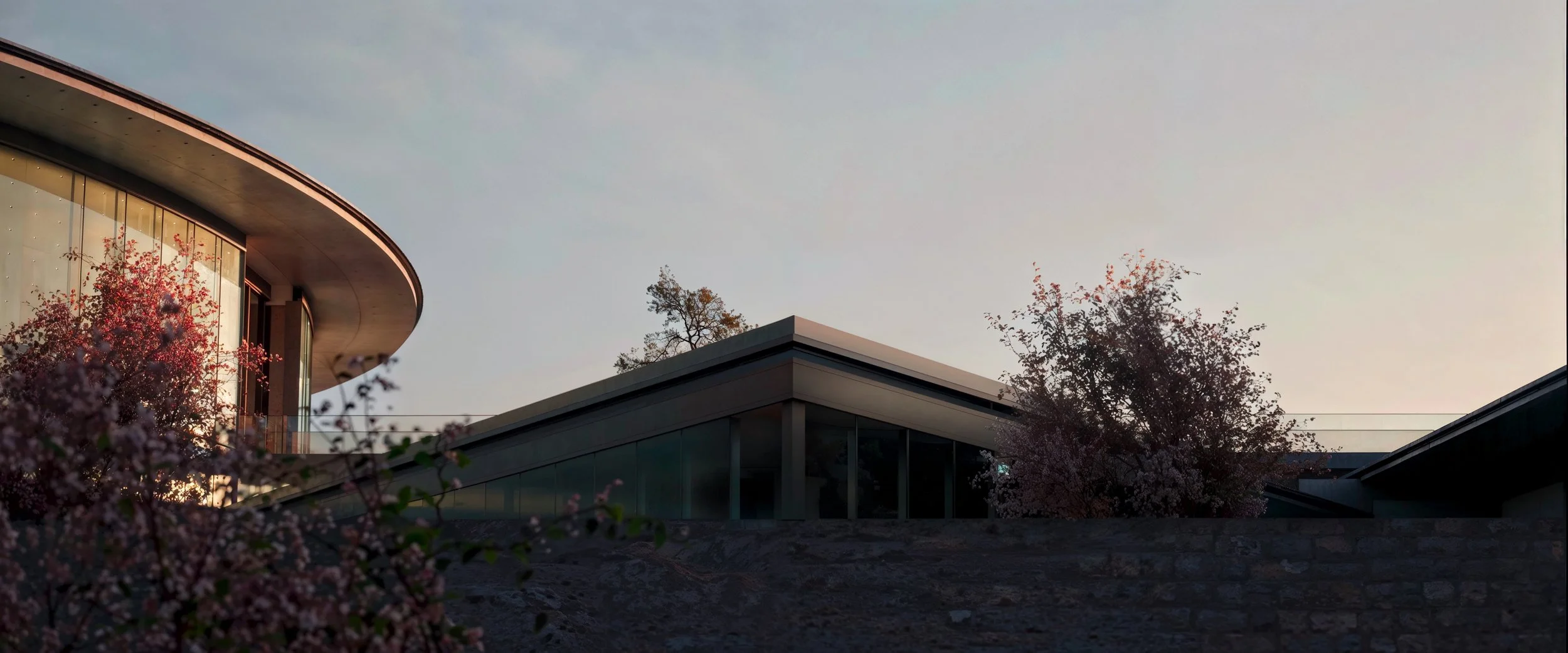 Modern house with curved glass walls and flat roof, surrounded by blooming pink trees, during sunset or dusk.