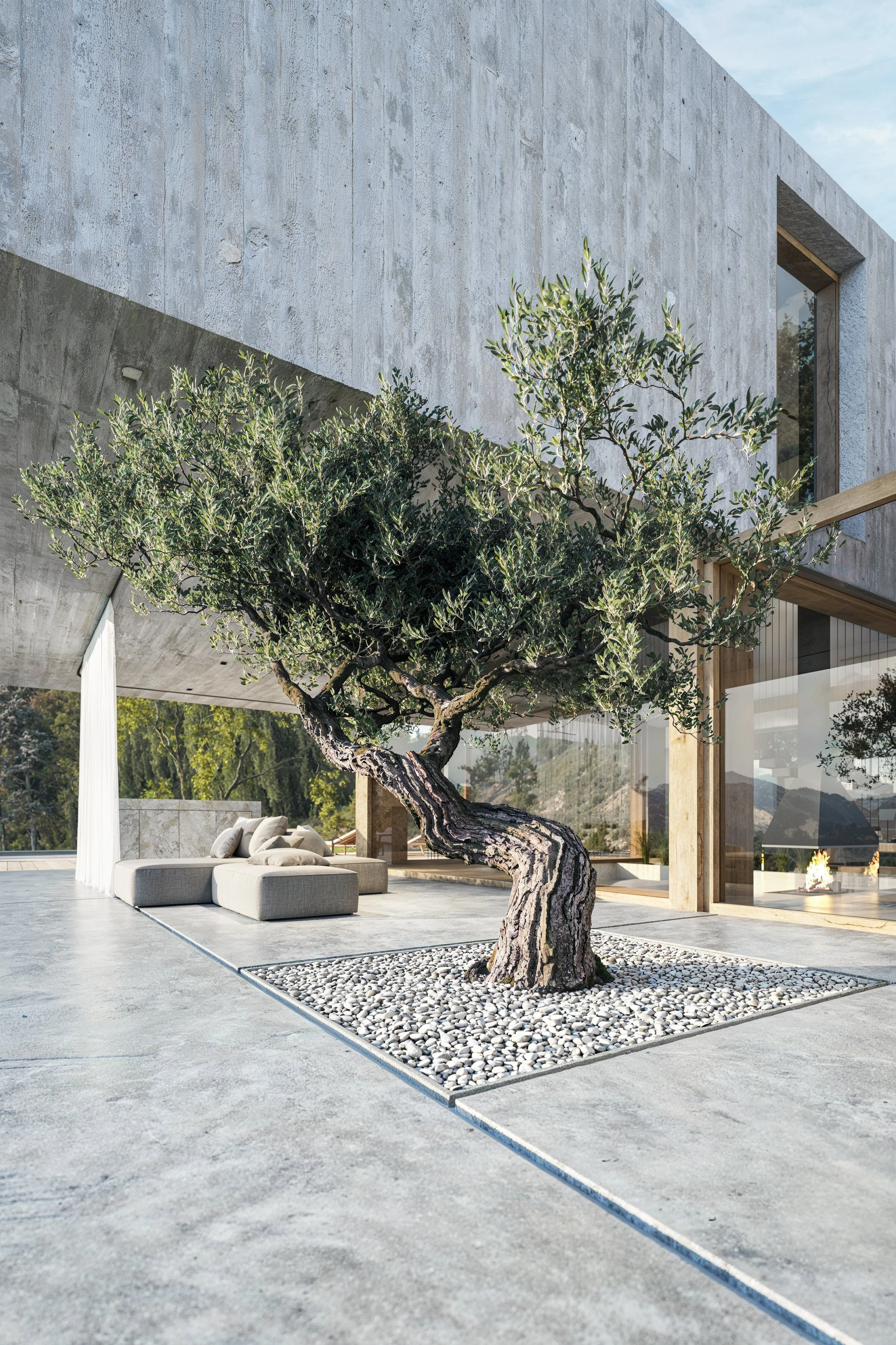 Modern house exterior with a large, mature tree planted in a bed of white pebbles on a concrete patio.