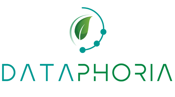 Dataphoria