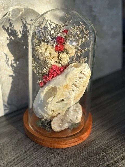 Bijoux De Terre 11 Medium.jpeg