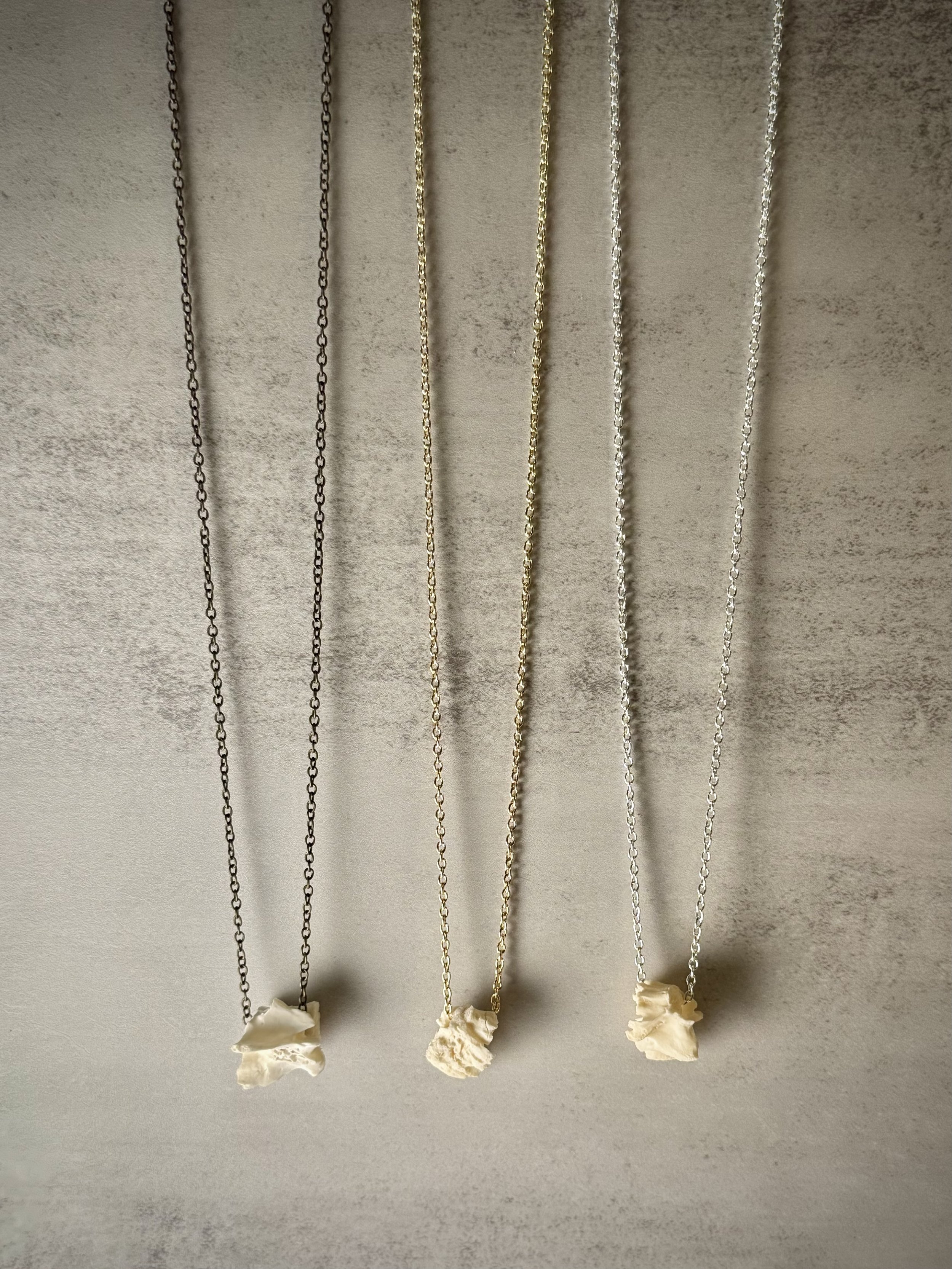 Possum Vertebrae Necklace