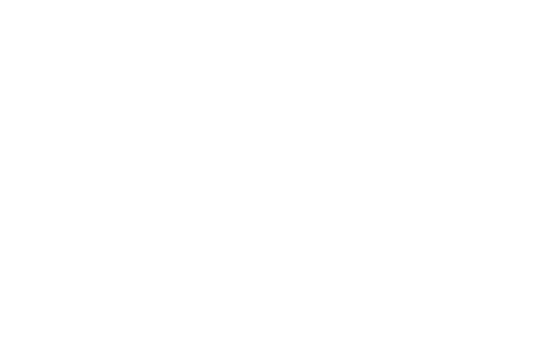 A black background with white text that says "Flimic" surrounded by two laurel branches.